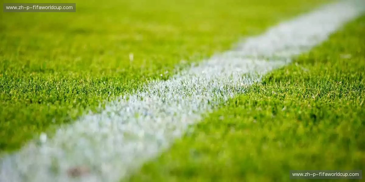 从训练场到直播间，你的热爱全程在线！📱